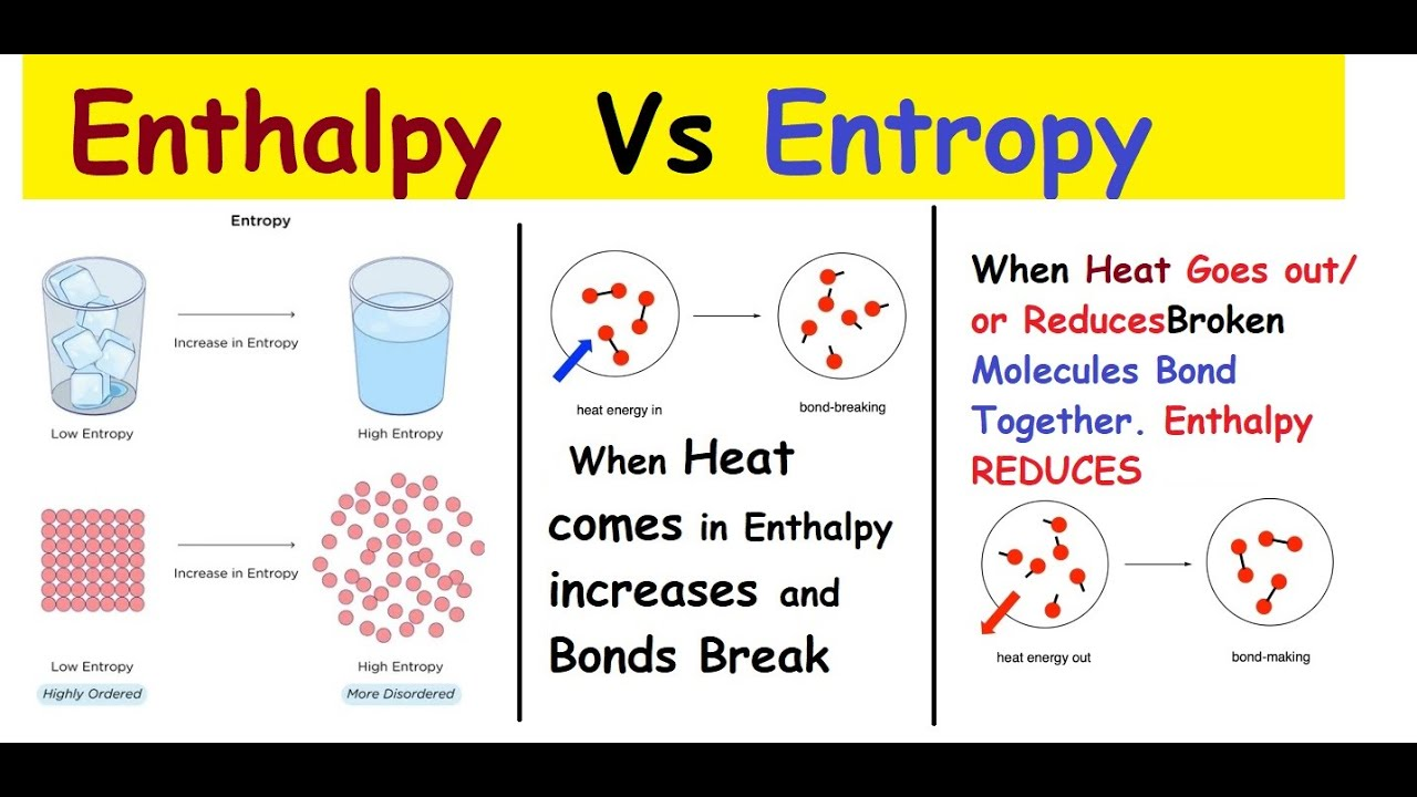What Does Entropic Mean Lets Break It Down
